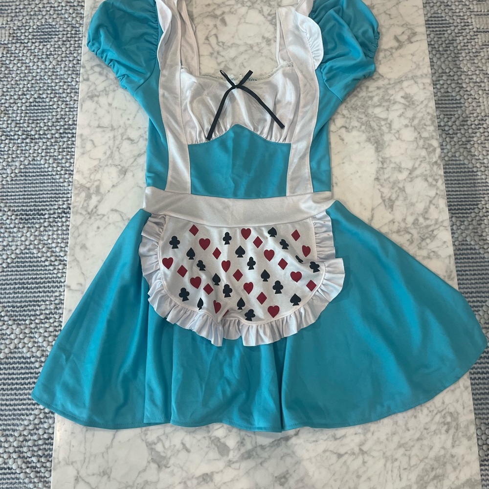 Leg Avenue Alice costume